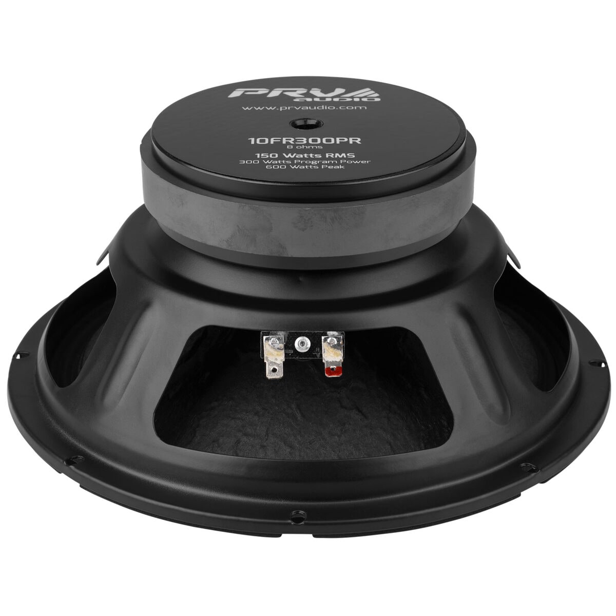 Prv speakers 10 sales inch